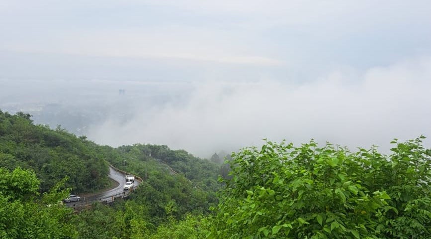 Trees and bushes on top of a hill with clouds in the background and a few cars driving on a winding road moving upwards.