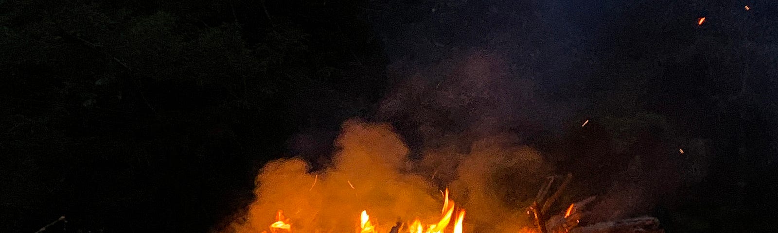Large bonfire with redwoods in the background
