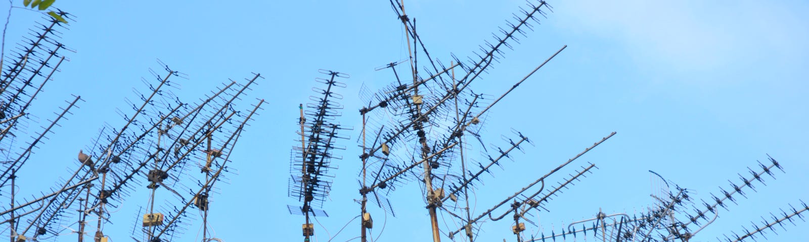 Old-style TV antennas like fishbones are scattered on the roofs of low rise in Hong Kong.