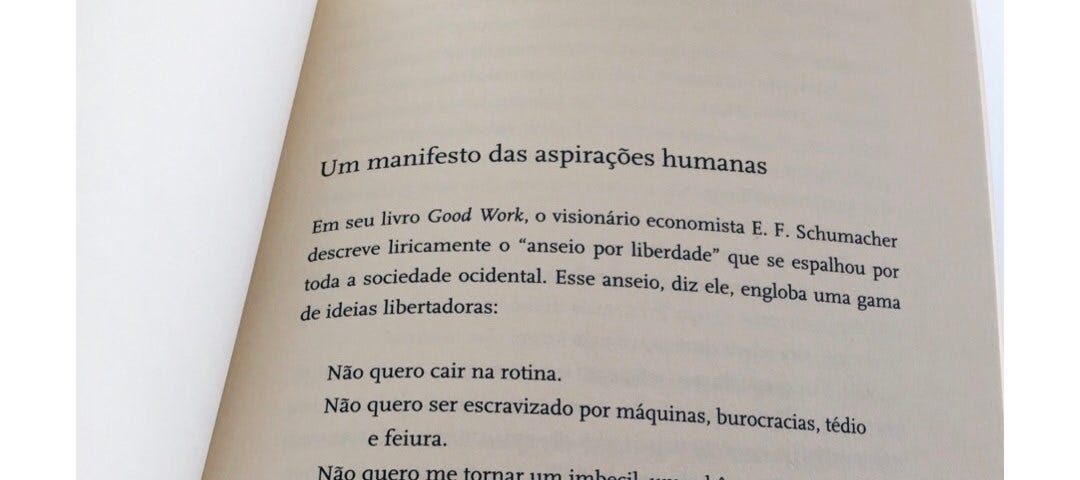 Do economista E.F. Schumacher: “Não quero cair da rotina. Não quero ser escravizado por máquinas, burocracias, tédio e feiura. Não quero me tornar um imbecil, um robô, um peão. Não quero me tornar um fragmento de pessoa. Quero fazer meu próprio trabalho. Quero viver com (relativa) simplicidade. Quero lidar com pessoas, e não com máscaras. As pessoas importam. A natureza importa. A beleza importa. A inteireza importa. Quer ser capaz de me importar.“