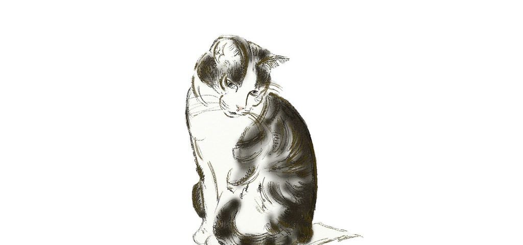 A black-and-white drawing of a cat looking down, on a white background