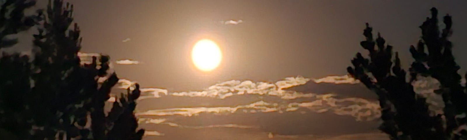 A midnight photo of a nearly full moon, the sky and clouds illuminated a pale orange, with shadowed trees in the foreground.