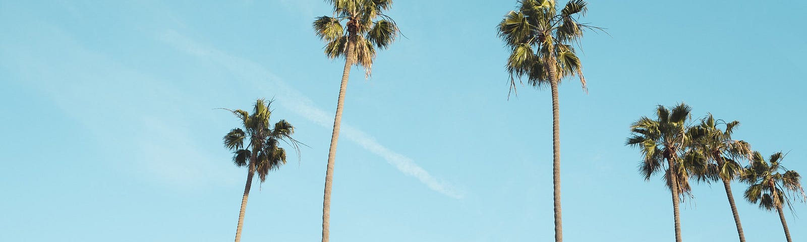Palm trees rustling in the breeze become audible when people everywhere in the US are sheltering in place.