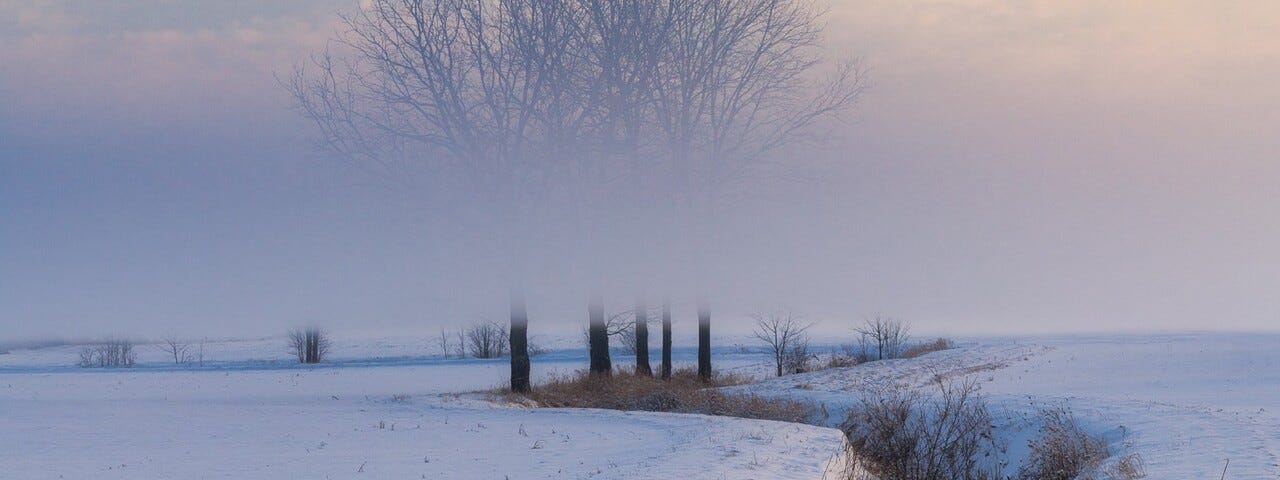 Misty winter landscape over fields