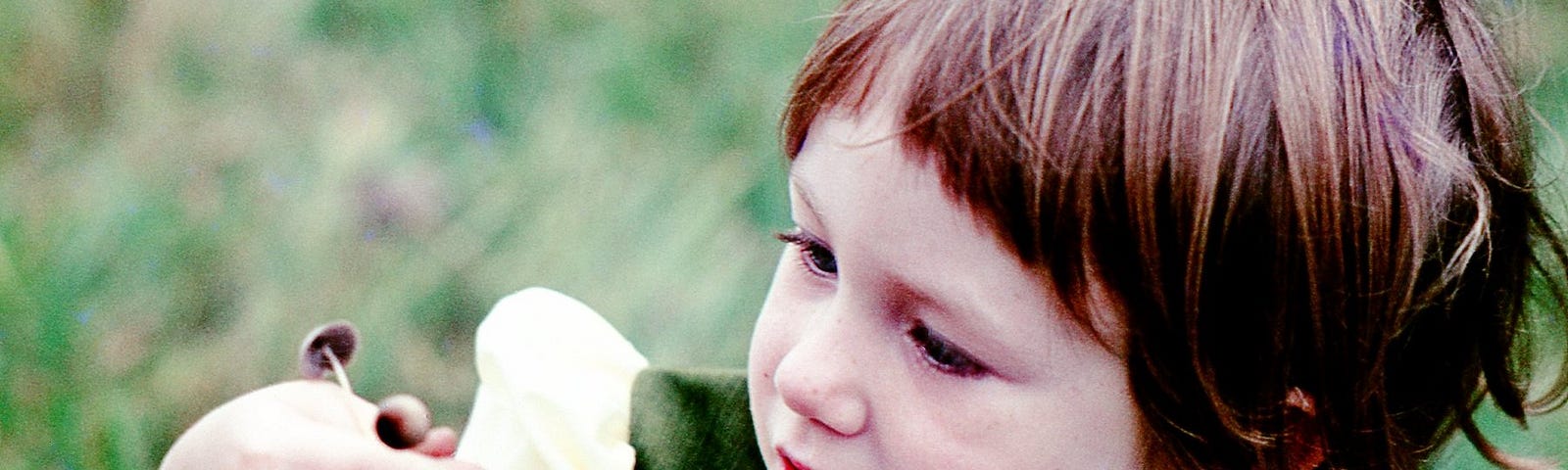 This shows a little girl looking at some mushrooms in nature.