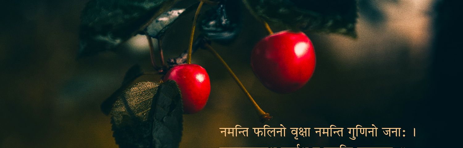 Sanskrit-Subhashita-on the importance of Humility-HBR-Patel.png