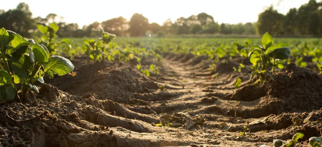 Soil erosion in farming and agriculture