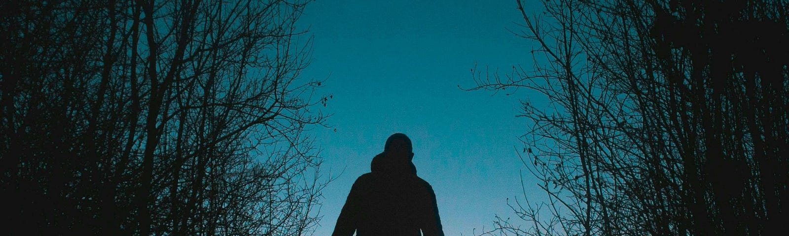 A silhouette of a man walking through a quiet forest, looking up at a bright white comet streaking across the twilight sky.