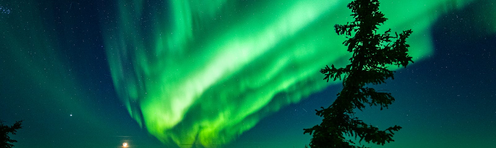 My new friend Jeff stares up at the sky, taking in the awe and wonder of a moment we had worked so hard to catch. The northern lights oscillated green and yellow in waves above our heads.