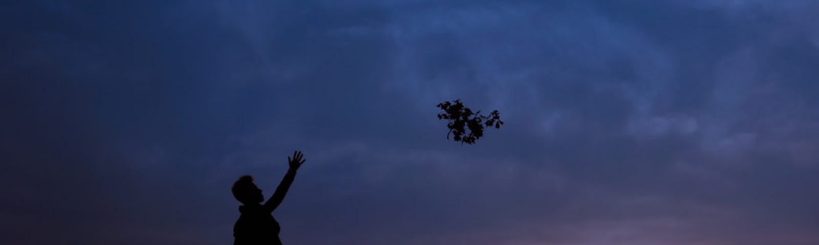 A silhouette of a man/boy standing in a field at twilight and waving goodbye to a bunch of lowers or sprig of leaves floating off in the breeze.