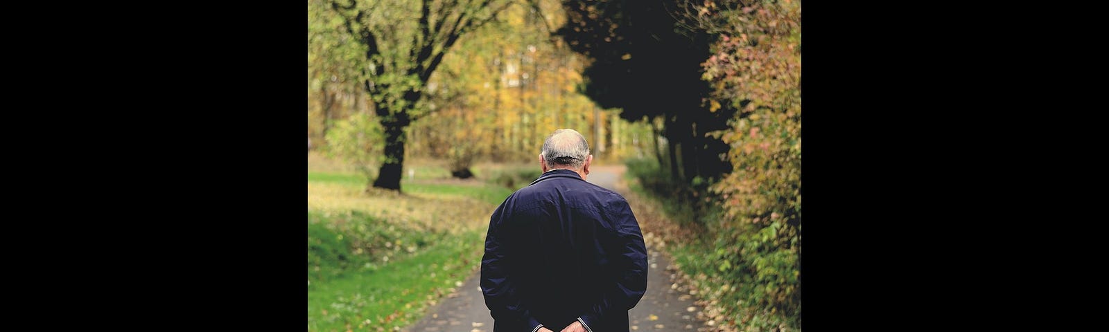 An old man walks in the woods holding his hands behind his back.