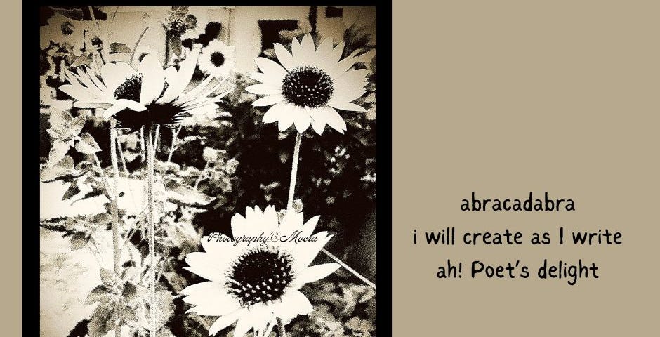 Photo sunflower, Canva design of with haiku