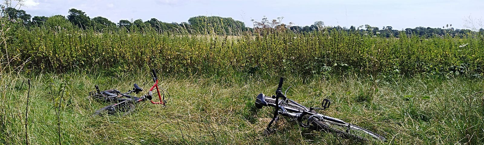 two bikes lying on their sides on a grassy field