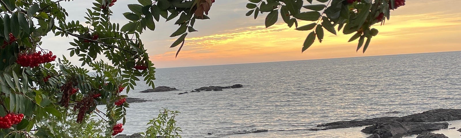Orange and yellow sunset over Lake Superior, framed by green branches with bright red berries on the left and rocks and sand below.