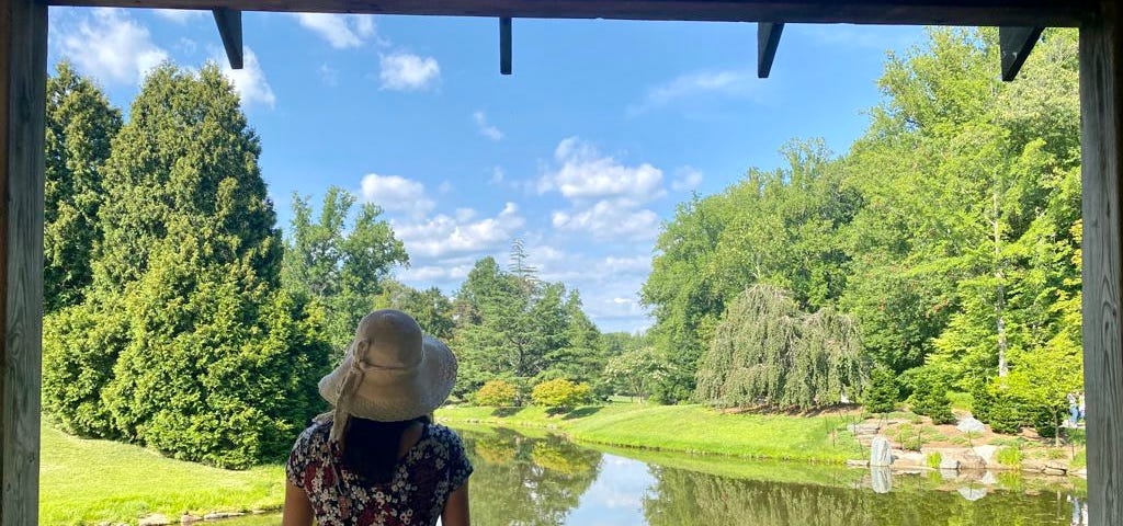 Girl gazing at view over gazebo