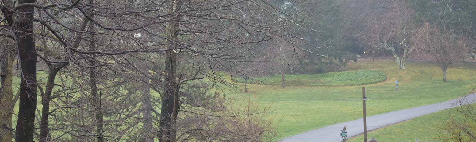 Picture of a road winding through a quiet, scenic landscape with trees, grass, and boulders.