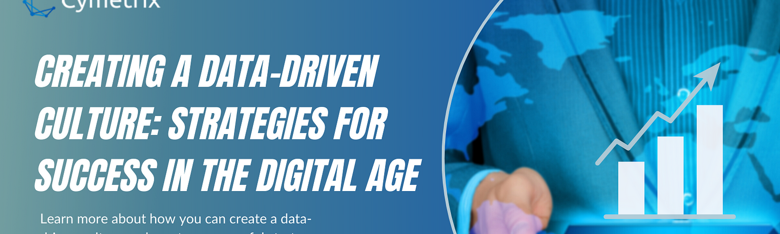 Creating a Data-Driven Culture: Strategies for Success in the Digital Age