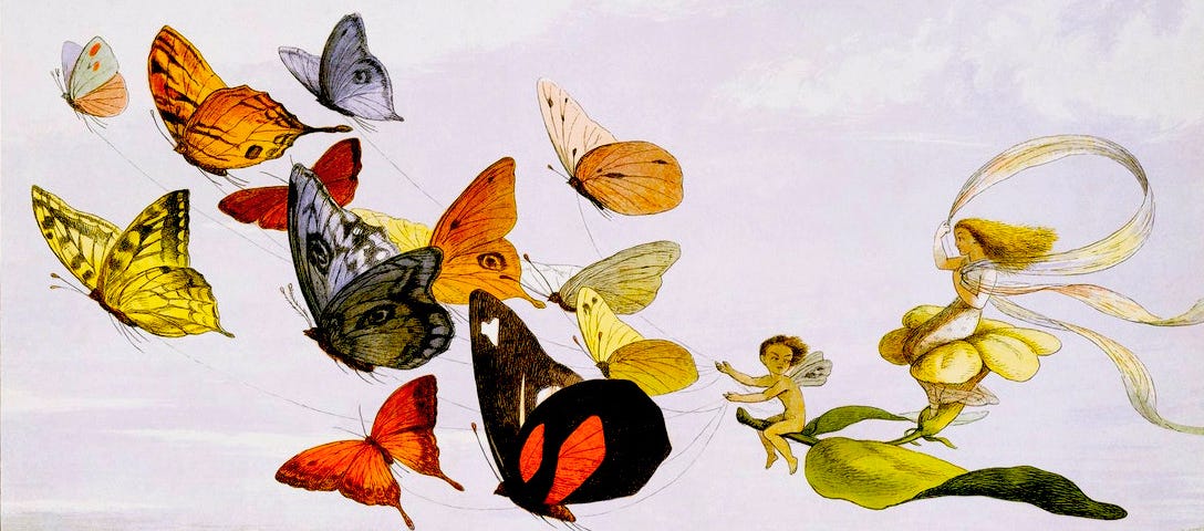 1870 lithograph of fairies riding on a coach made out of a leaf and flower harnessed to butterflies.