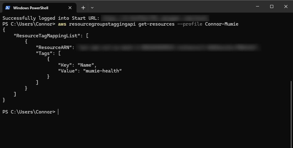 A terminal screen showing the output generated by aws command.