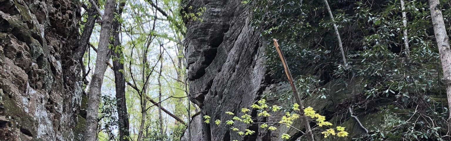 Tall walls of rock
