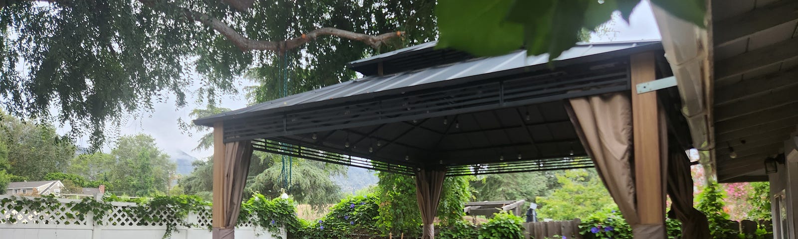 Gazebo with metal roof beneath Chinese Elm tree looking into cloudy sky