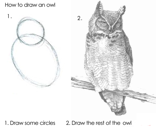 Instructions on How to Draw an Owl — Step 1: Draw some circles. Step 2: Draw the rest of the owl.