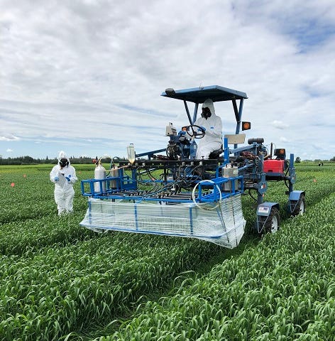 There are two men in protective gear. One stands in the crop field with a clipboard. The other is on top of the machine that is used to apply fungicide to the plants.