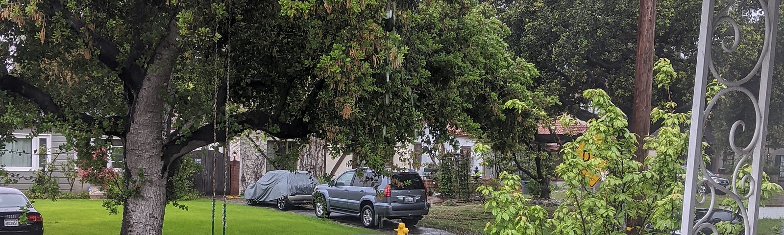 Rain dripping from gutter into front lawn buckets.