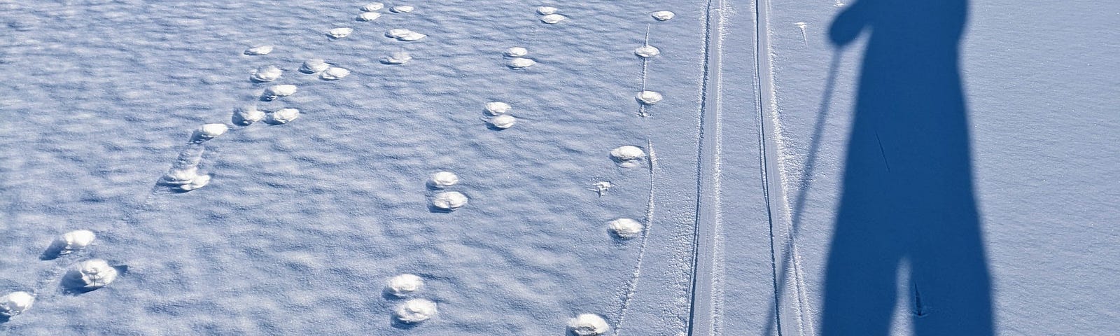 Coyote tracks and the shadow of a person in the snow.