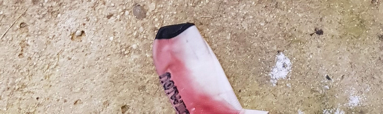 A single sock on a concrete pavement with a pinkish red hue