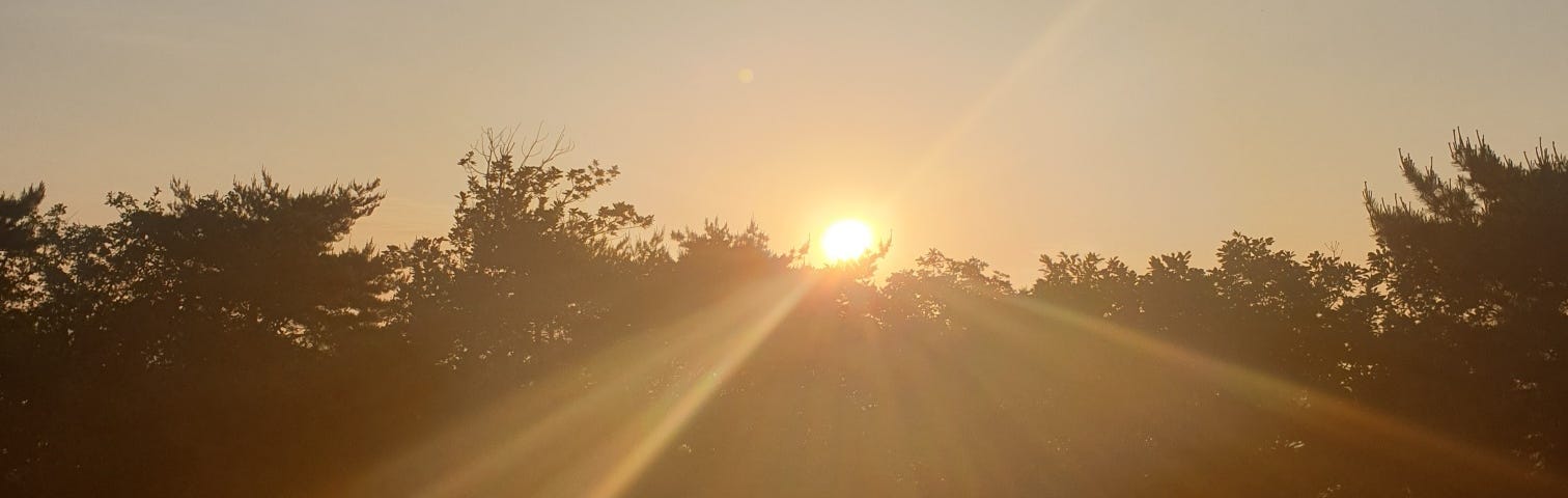 Author’s own photo of the sun setting behind trees.