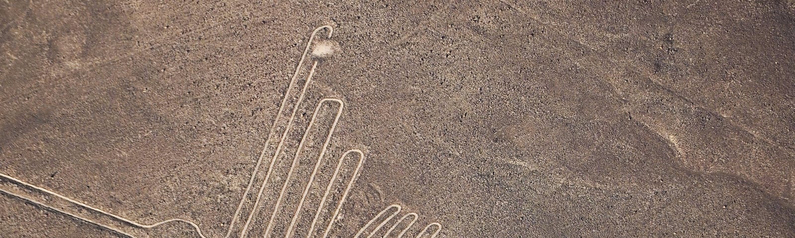 Aerial view of the Nazca lines seen from high above. Image of a bird in long lines marked out over a very large desert area.