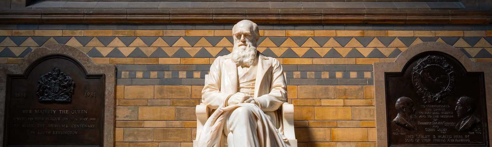 The image shows a white marble statue of Charles Darwin seated in contemplation, located in front of a brick wall with decorative patterns. The statue is positioned between two commemorative plaques, one on each side, honoring significant events. The setting appears to be a historical or scientific institution, possibly a museum, with a focus on Darwin’s contributions to science.