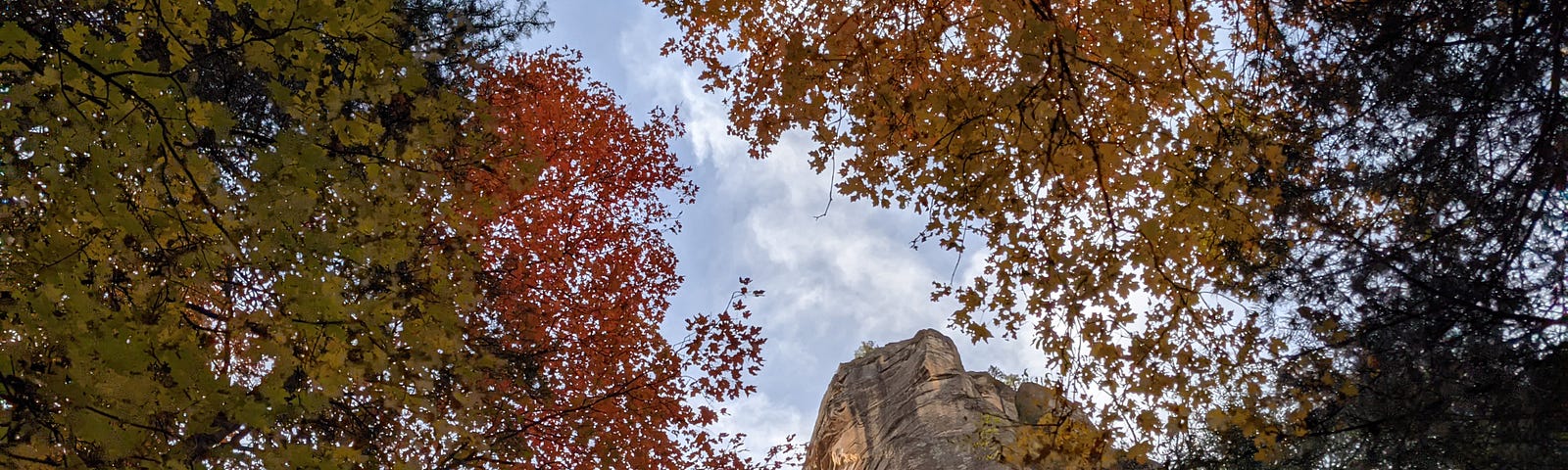 Rock wall surrounded by autumn trees