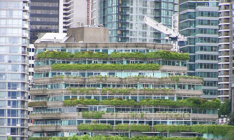 Green roofs in cityscape
