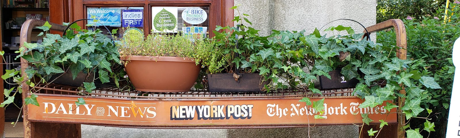 Potted plants sit atop an empty newspaper rack.