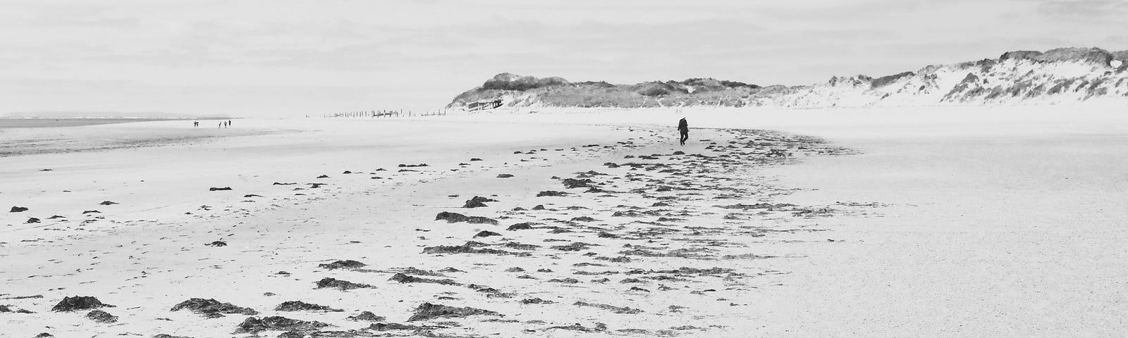 A long, wide stretch of empty beach with a row of seaweed and sand dunes behind. A single person walks along the beach.