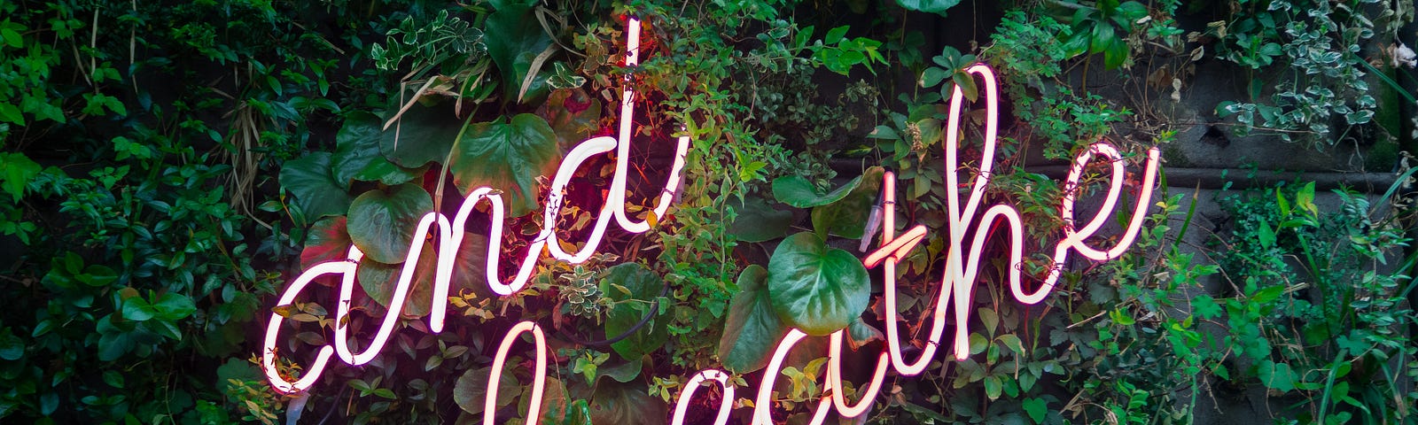 Photo of neon that spells “and breathe” in cursive hanging on a wall covered in greenery