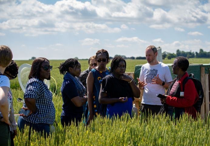 Food Systems Research Network for Africa mentors and fellows stood in a field of crops at the University of Leeds farm in June 2022. Picture by Motus TV.