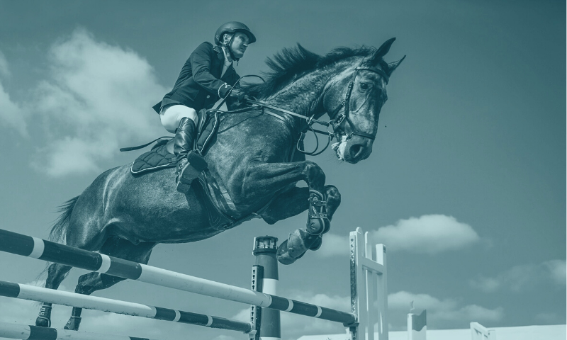 A man sits atop a black stallion as it jumps over an Oxer style horse jump.