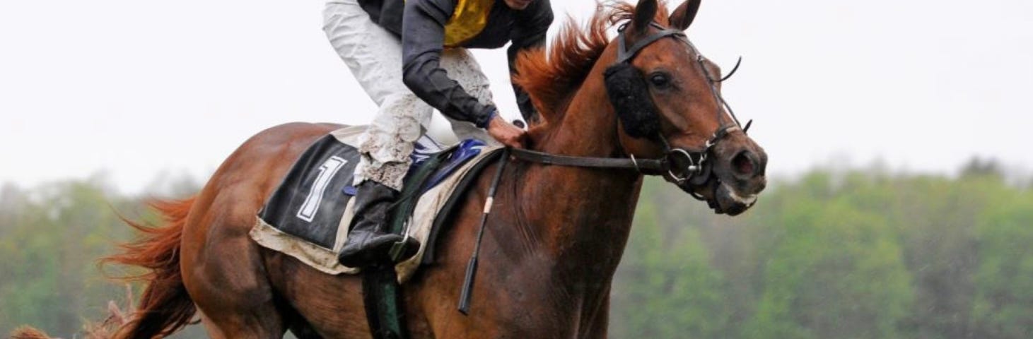 Jockey riding racing horse