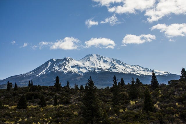 A snow-covered mountain in California with an evergreen forest in the foreground.