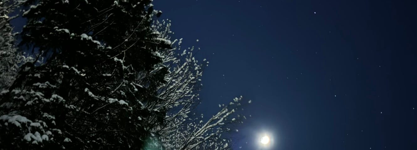 An ethereal image of a dark sky with a moon and few stars brightly shining down onto snow covered trees.