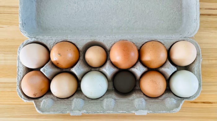 Bird’s eye view of an opened carton of eggs containing only 11 eggs.