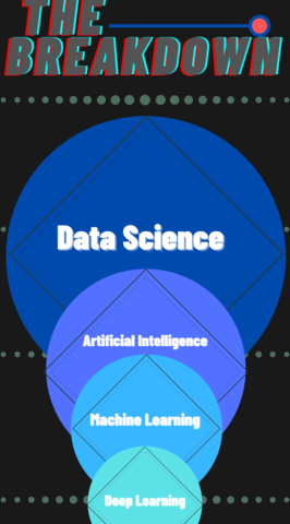 Figure 1: Breakdown of the Data Science Field