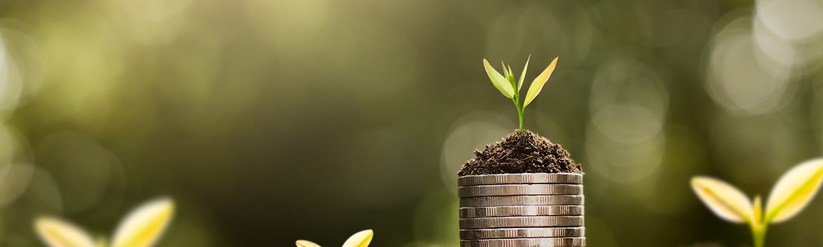 A seedling grows from a small pile of soil, sitting on a stack of coins.