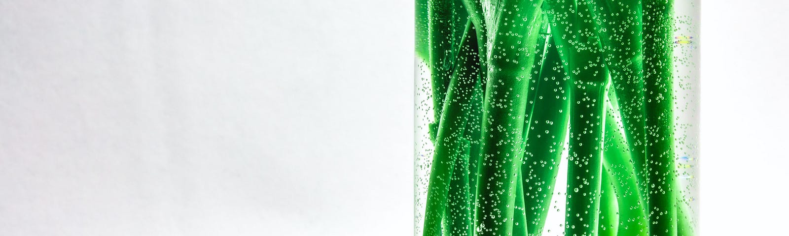 Green stems in a water glass