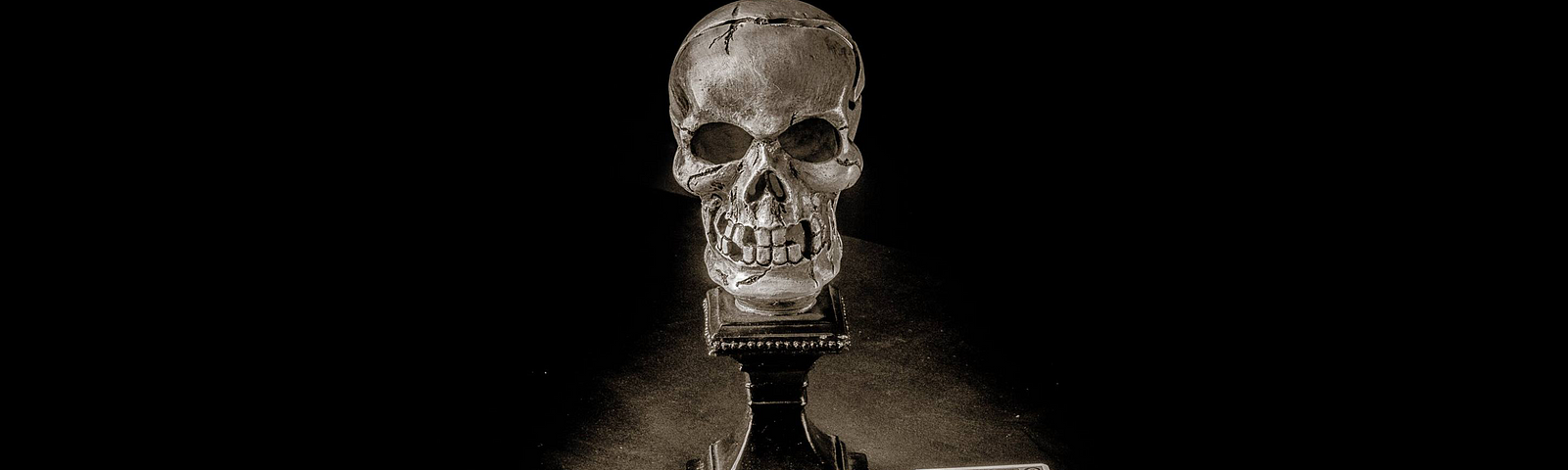 Skull with tarot cards