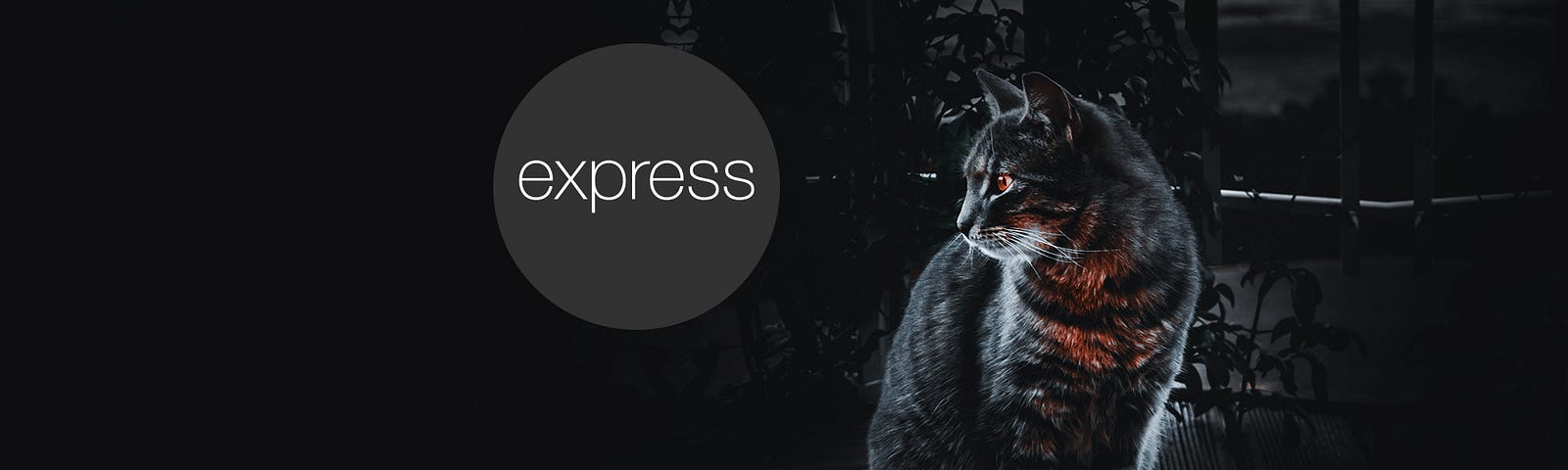 Nest looking at Express