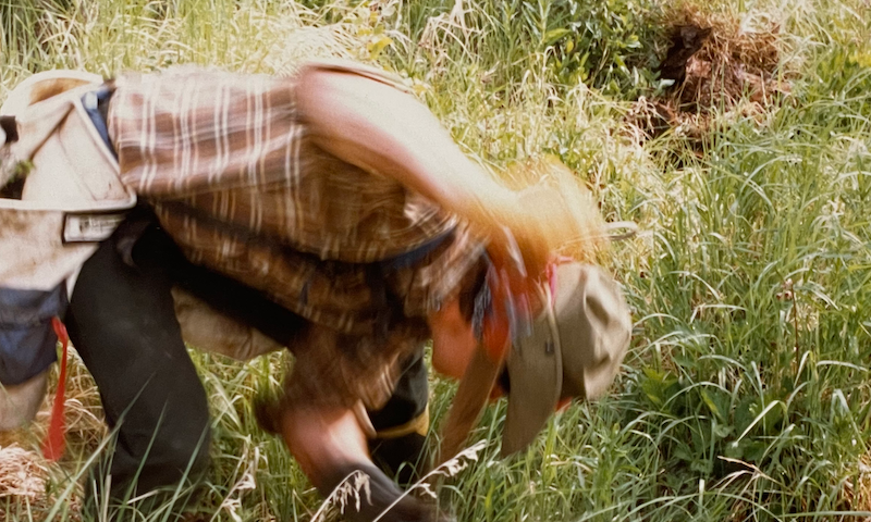 A tree planter screefing away some grass